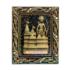 Feeling Shardha ayodhya mandir 