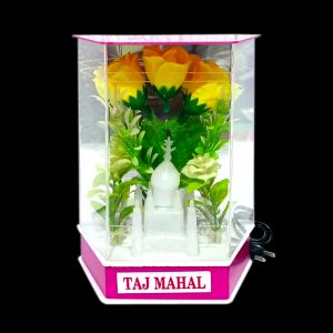 Km Dev Rathan Disco Light (12)