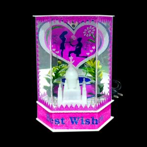 Km Dev Dil disco light (12)