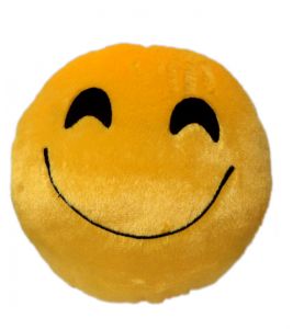 LEHAR SMILEY CUSHION(NO.B)
